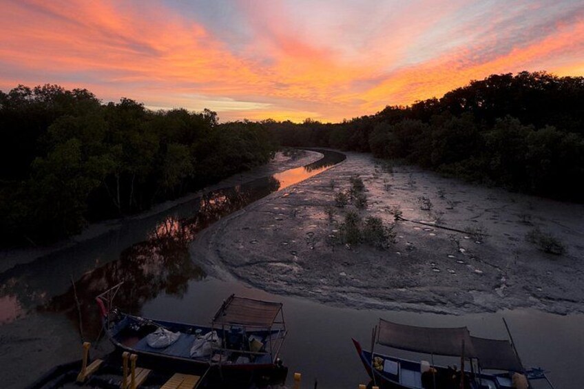 A riverbank at sunset with boats docked, surrounded by dense foliage. 4
