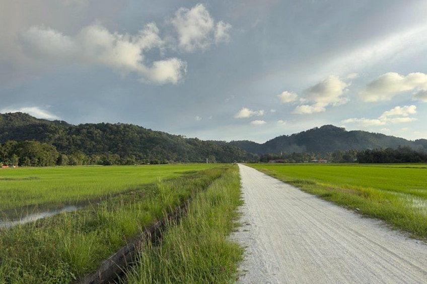 A rural landscape with a dirt road, green fields, and hills in the distance. 3