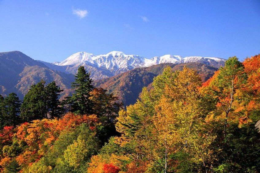 A mountain range with snow-capped peaks and autumn-colored trees. 1