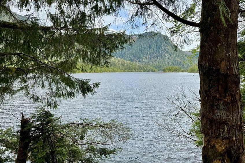 A lake surrounded by trees and hills. 1