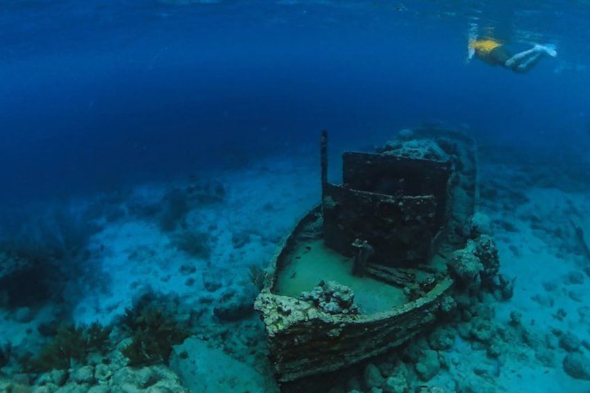 Scena subacquea con un relitto affondato circondato da vita marina. 4