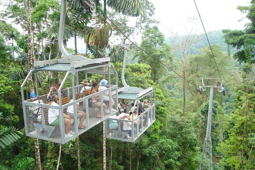 Eine Seilbahn in einer bewaldeten Gegend mit Fahrgästen. 1