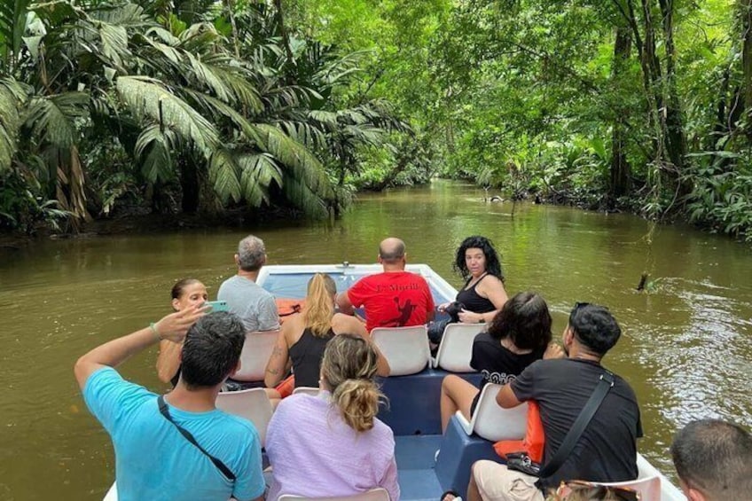 A group of people on a boat in a river surrounded by dense tropical vegetation. 2