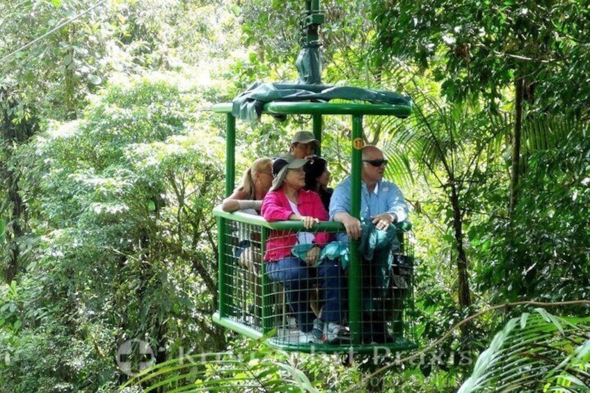 A group of people on a green cable car in a forested area. 1