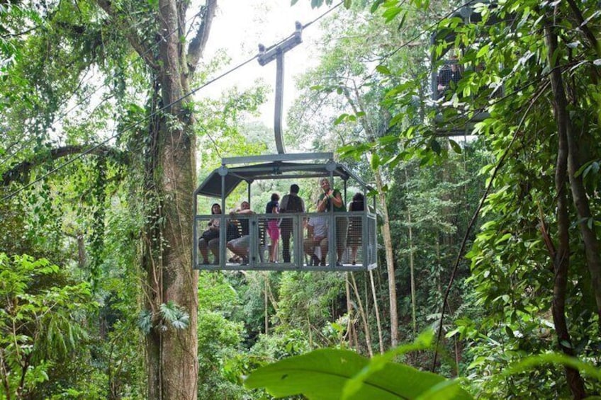 A cable car in a forest. 5