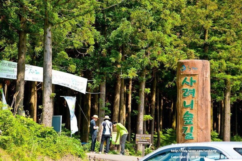 Jeju Eastern UNESCO Sites Day Tour 5