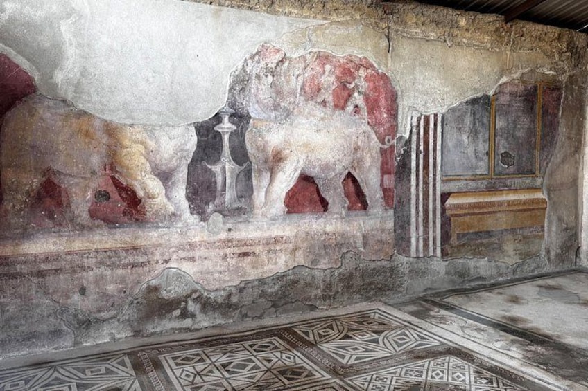 Positano, Amalfi and Pompeii Private Tour with Minivan and Guide 5