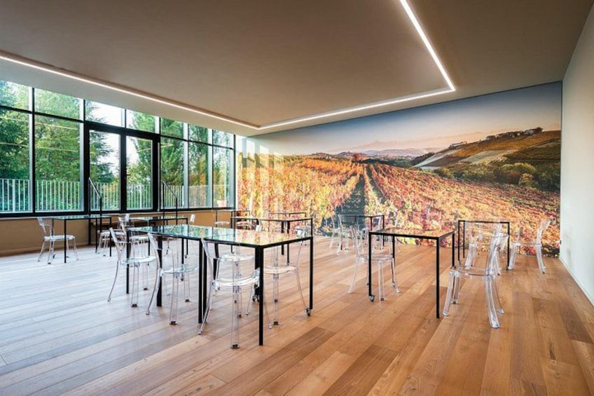 Monforte d'Alba Langhe with unforgettable wine tasting 5
