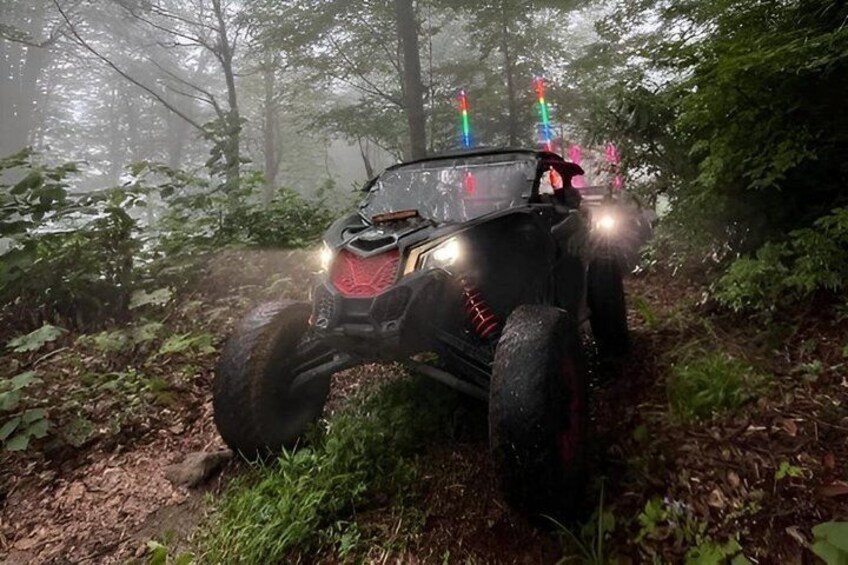 Batumi: Mtirala ATV Buggy CanAm Maverick & Horse Riding Adventure 1