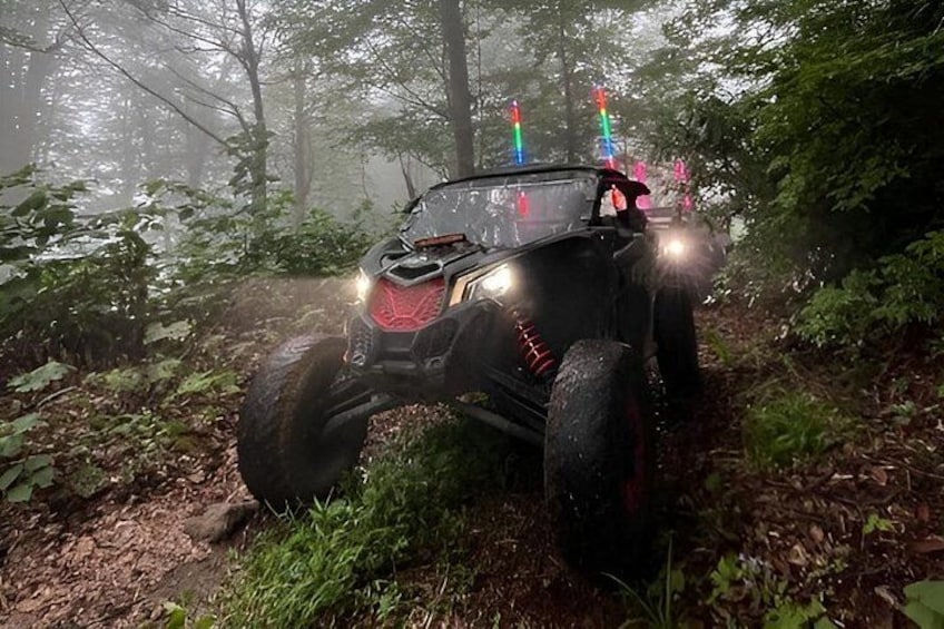 Batumi: Mtirala ATV Buggy CanAm Maverick & Horse Riding Adventure 3