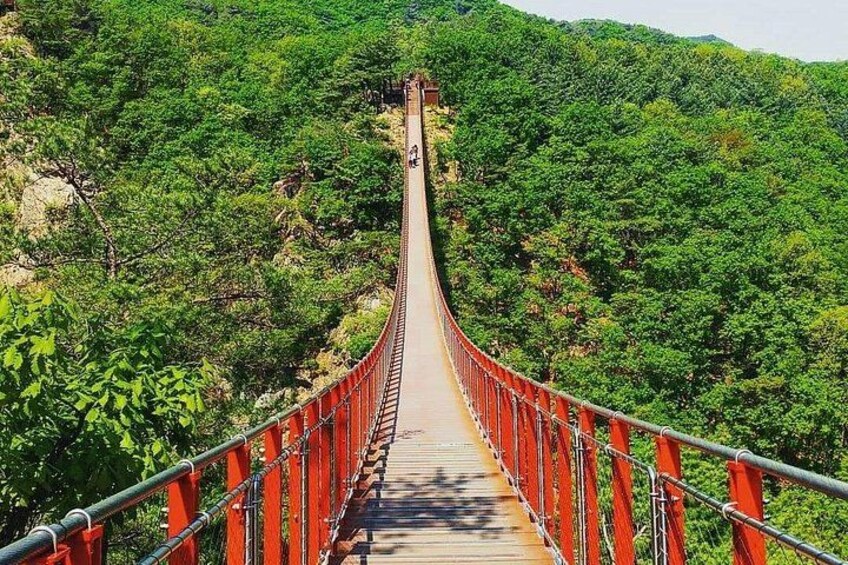 Un ponte sospeso con ringhiere rosse, immerso in una fitta foresta verde. 5
