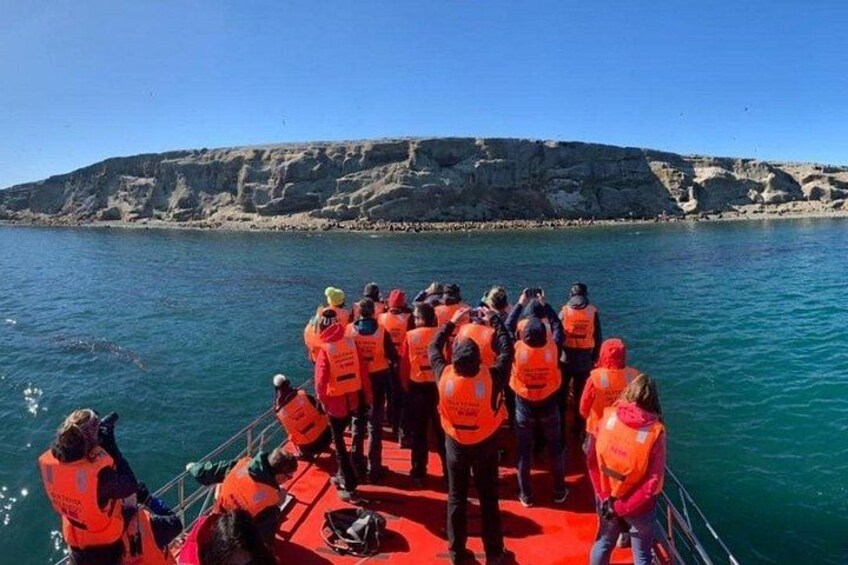 A group of people on a boat wearing orange life jackets, with a rocky coastline in the background. 4