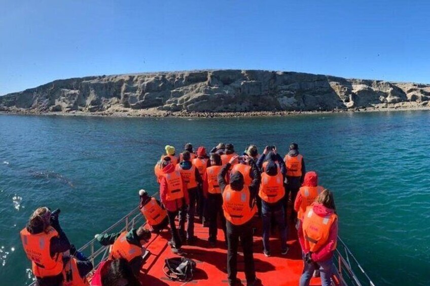 A group of people on a boat wearing orange life jackets, with a rocky coastline in the background. 5