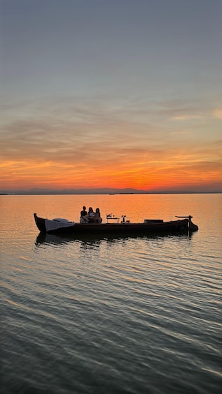 Picture 10 for Activity Albufera Valencia: Guided electric boat ride, also sunset 3