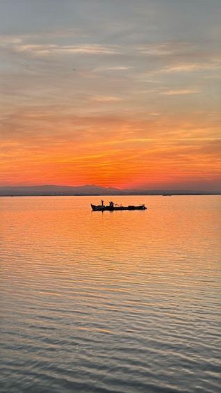 Albufera Valencia: Guided electric boat ride, also sunset 1