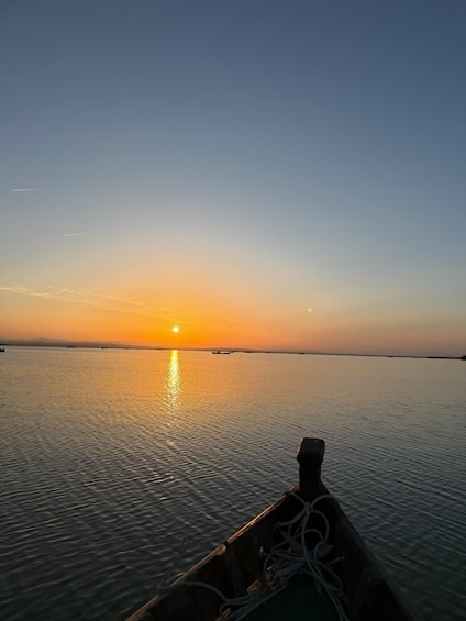 Picture 11 for Activity Albufera Valencia: Guided electric boat ride, also sunset 2