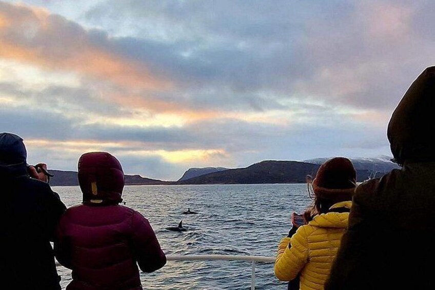 A group of people observing a body of water with a distant landmass and a cloudy sky. 2