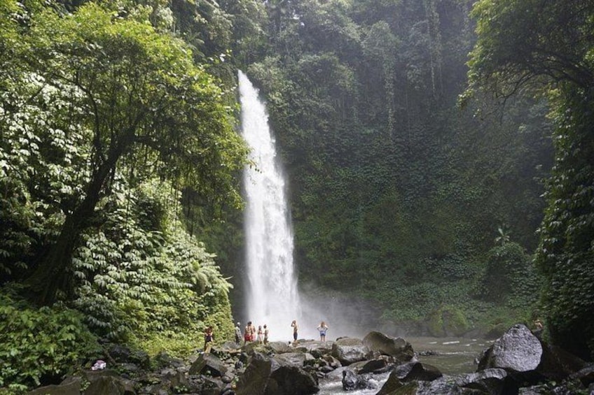 A waterfall surrounded by lush greenery and rocks. 1