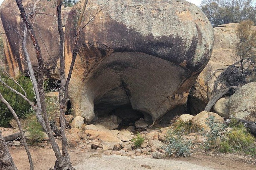 hippos yawn 3