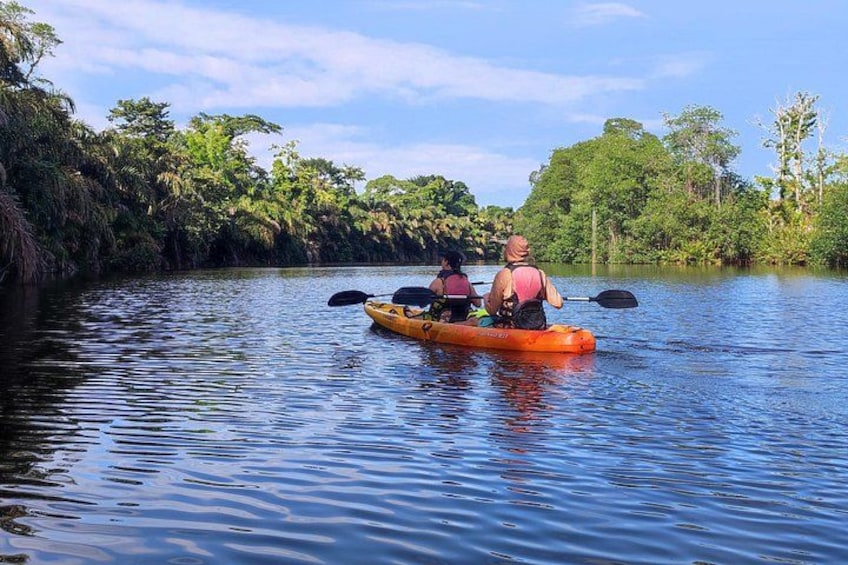 Dos personas remando en kayak por un río tranquilo rodeado de abundante vegetación. 3