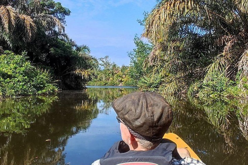 Una persona rema en kayak por un río tranquilo rodeado de densa vegetación. 2