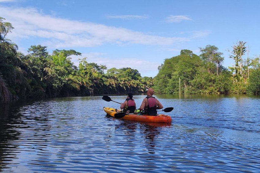 Dos personas kayakendo en un río tranquilo rodeado de vegetación densa. 5