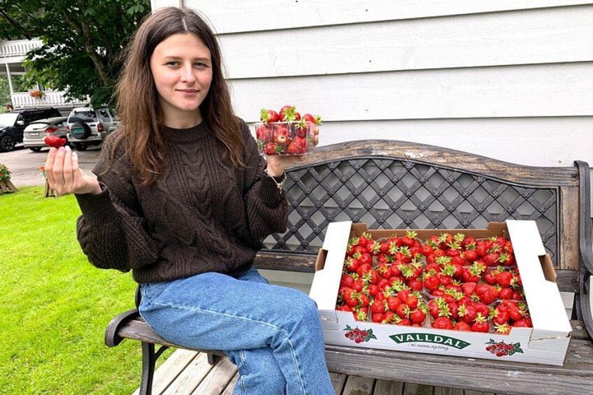 Valldal strawberies 3