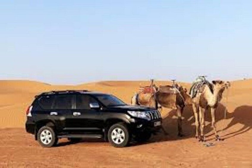 ERG CHIGAGA 4X4 AND CAMEL 3