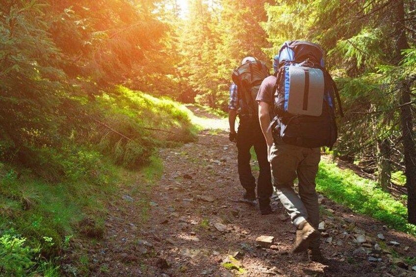 Two hikers on a forest trail with backpacks, surrounded by trees and sunlight. 1