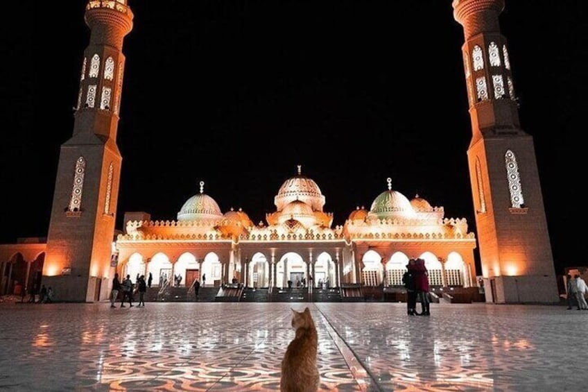 En moské med upplysta kupoler och minareter på natten. 1