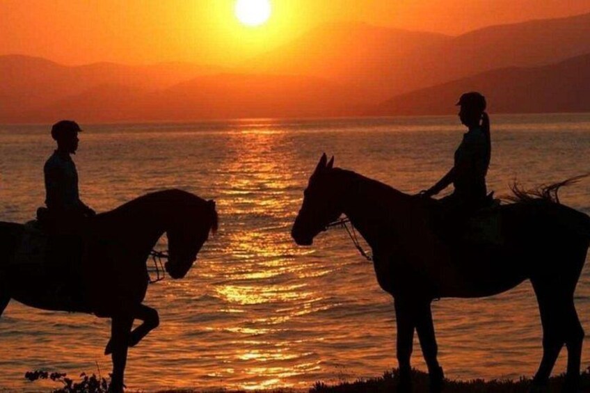 Due persone cavalcano a cavallo su una spiaggia al tramonto. 1