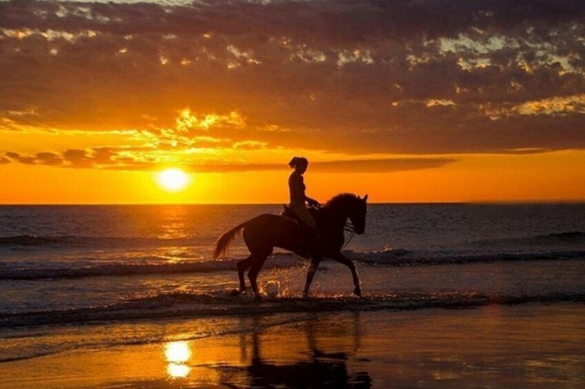 Siluetta di una persona a cavallo su una spiaggia al tramonto. 2