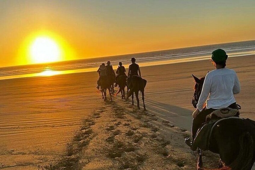 Un tramonto su una spiaggia con persone a cavallo. 4
