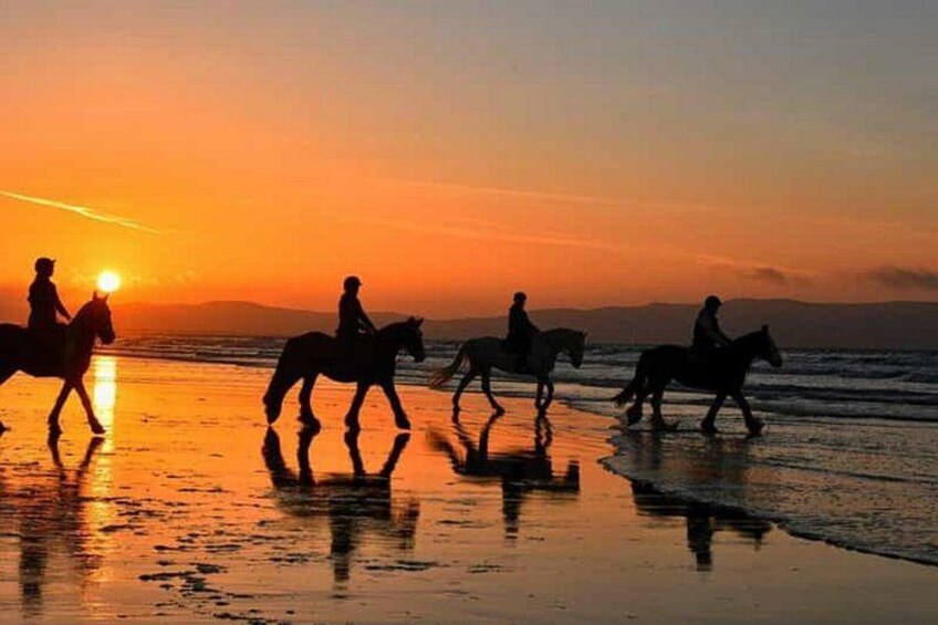 Figure silhouettate di persone a cavallo su una spiaggia al tramonto. 5