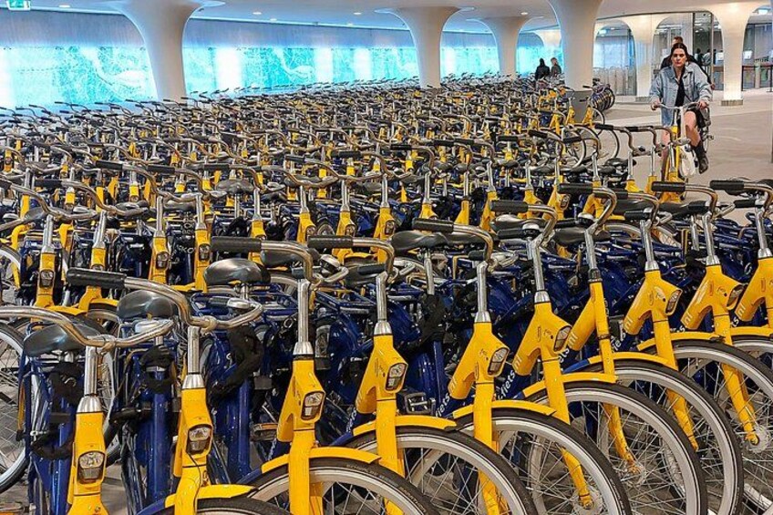 Een groot aantal gele fietsen staan in rijen geparkeerd. 5