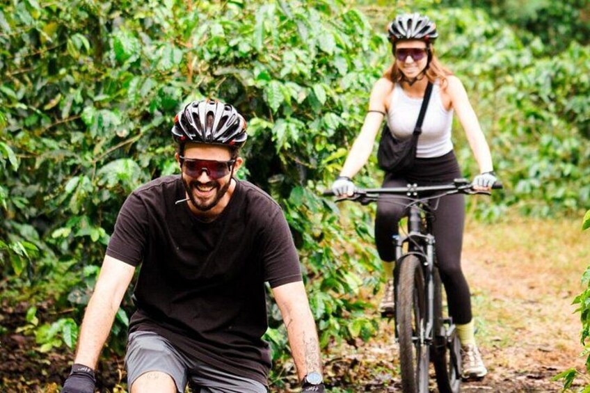 Bike through coffee farms 4