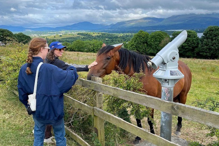 Aghadoe 5