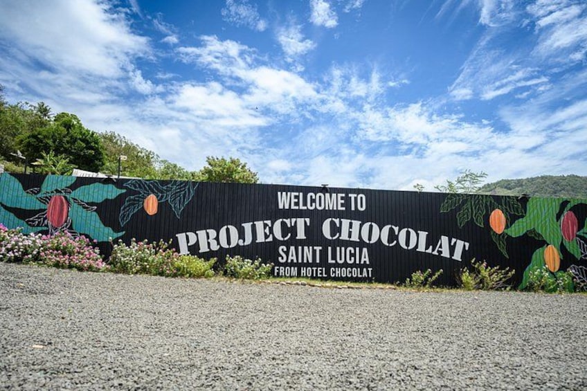 Project Chocolat Tree to Bar Tour at Hotel Chocolat Saint Lucia 4