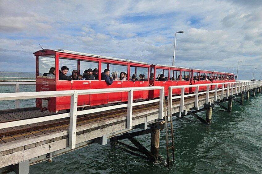 Private Busselton Jetty and Underwater Observatory Tour 3
