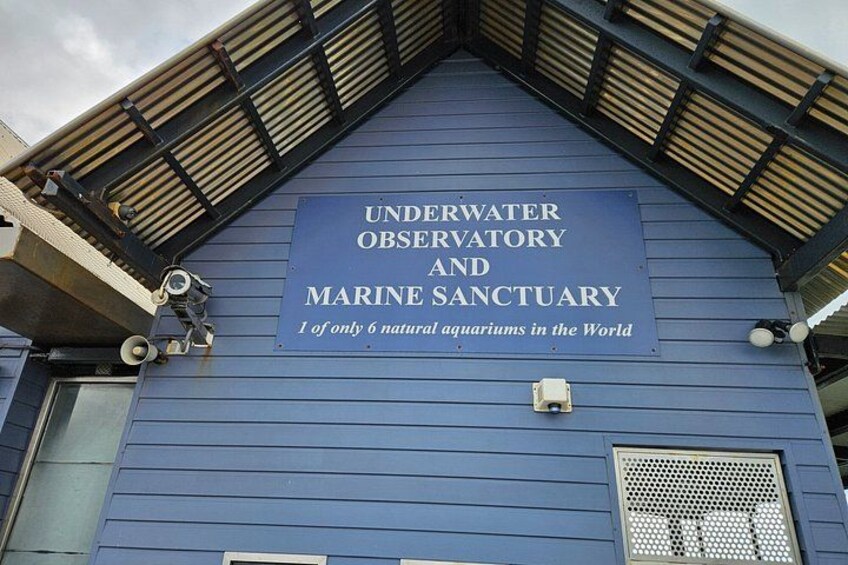 Private Busselton Jetty and Underwater Observatory Tour 4