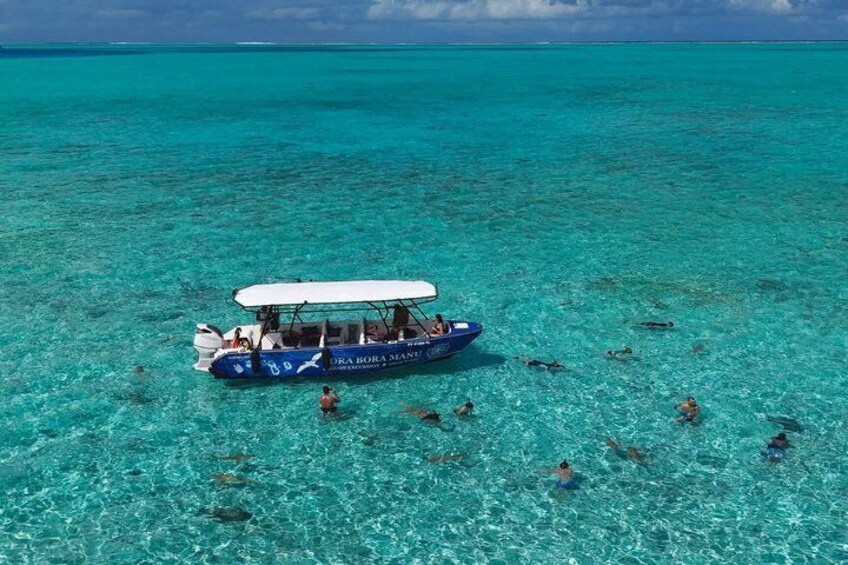 Bora Bora Half Day Snorkeling 1