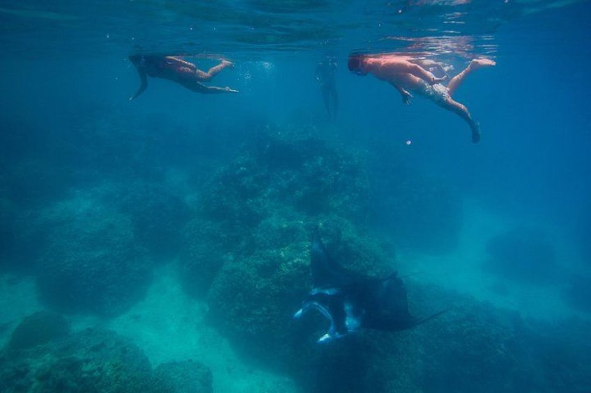 Two people swimming underwater with rocks and marine life in the background. 3