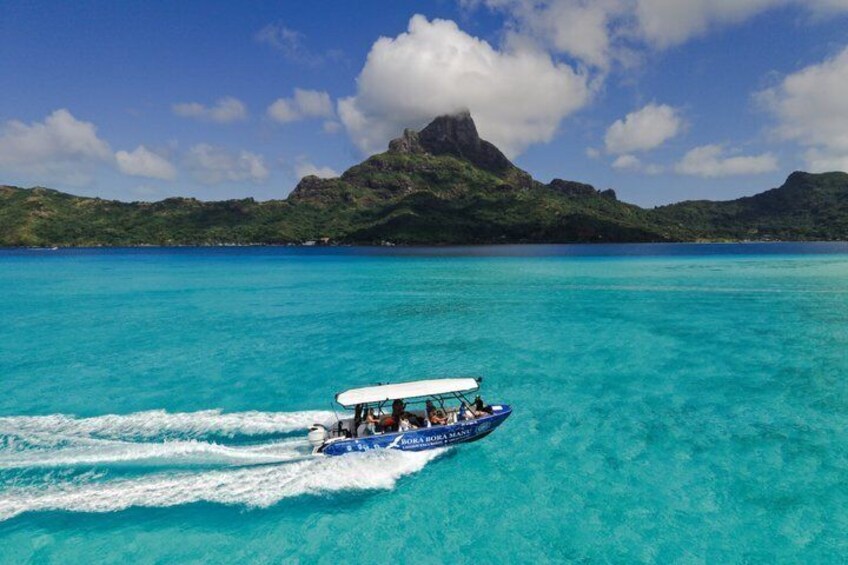 Bora Bora Half Day Snorkeling 4