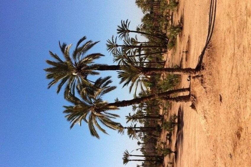 7-Day Best of Morocco Tour – Must-See Highlights 3