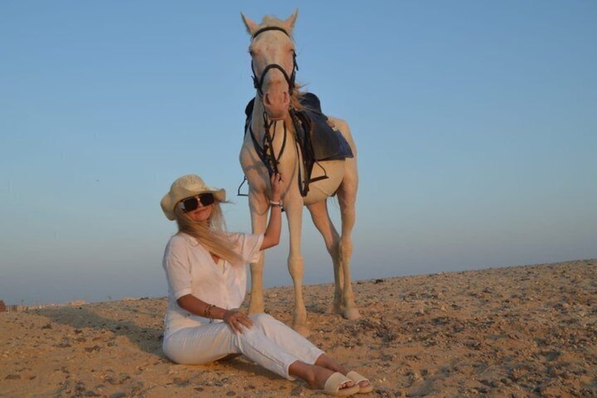 A person sitting on the ground with a horse standing beside them. 2