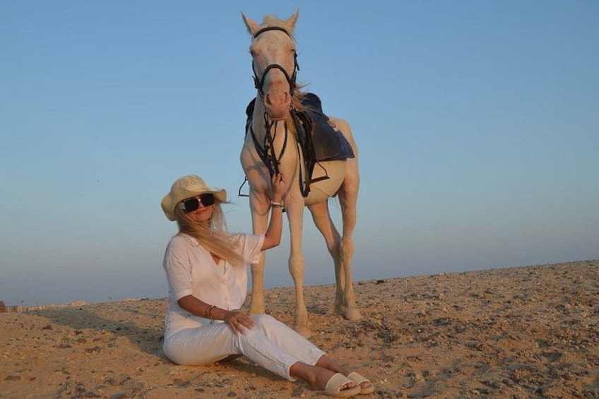 Una persona seduta a terra accanto a un cavallo in un paesaggio desertico. 2