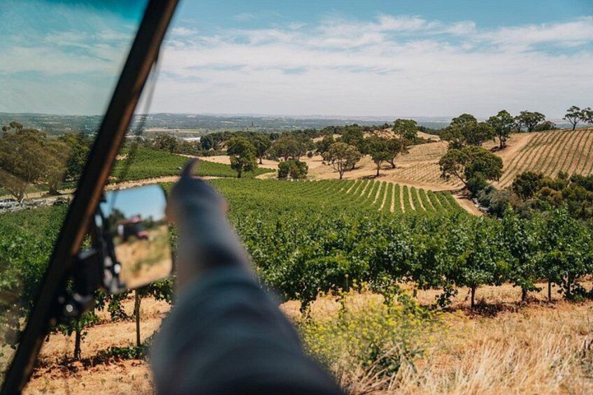EcoVine Explorer Vineyard E-Cart Tours 4