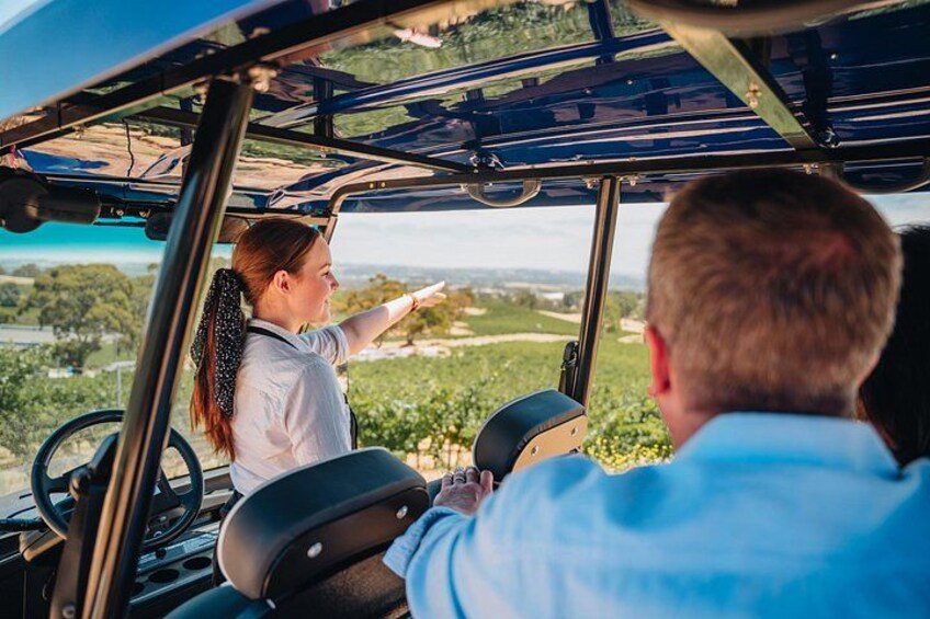 EcoVine Explorer Vineyard E-Cart Tours 5