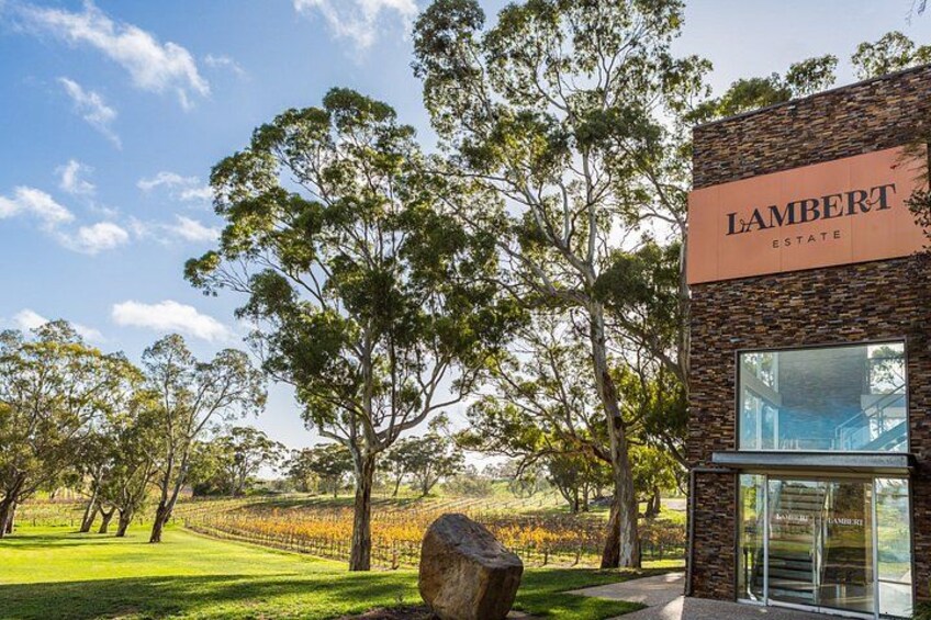 EcoVine Explorer Vineyard E-Cart Tours 2