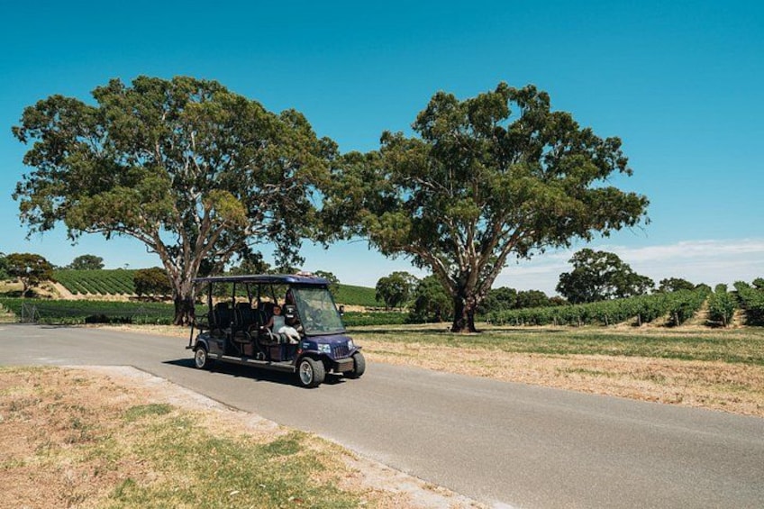 EcoVine Explorer Vineyard E-Cart Tours 1